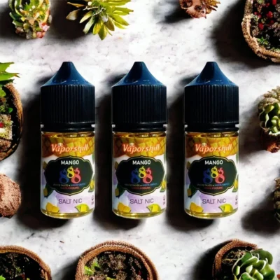 【】馬來西亞 888 小煙油 推薦 高濃縮果味冰爽口感 芒果冰沙 30ml 30mg 丁鹽 原裝正品