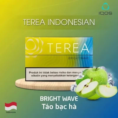 亞洲版 TEREA 煙彈 加熱煙批發 IQOS主機專用