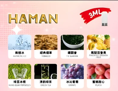 Haman煙彈 哈門高品質電子煙煙彈 