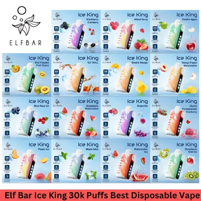 ElfBar Ice King 30000 拋棄式電子煙｜5 檔冰度調節・30K 超長續航・王嘉爾同款