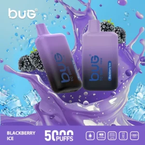 BUG TC 5000 Puffs 台灣推薦拋棄式電子煙